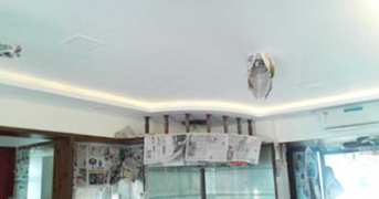 gypsum